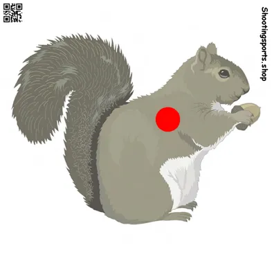 Squirrel Target - Paper 17cm x 17cm Packs