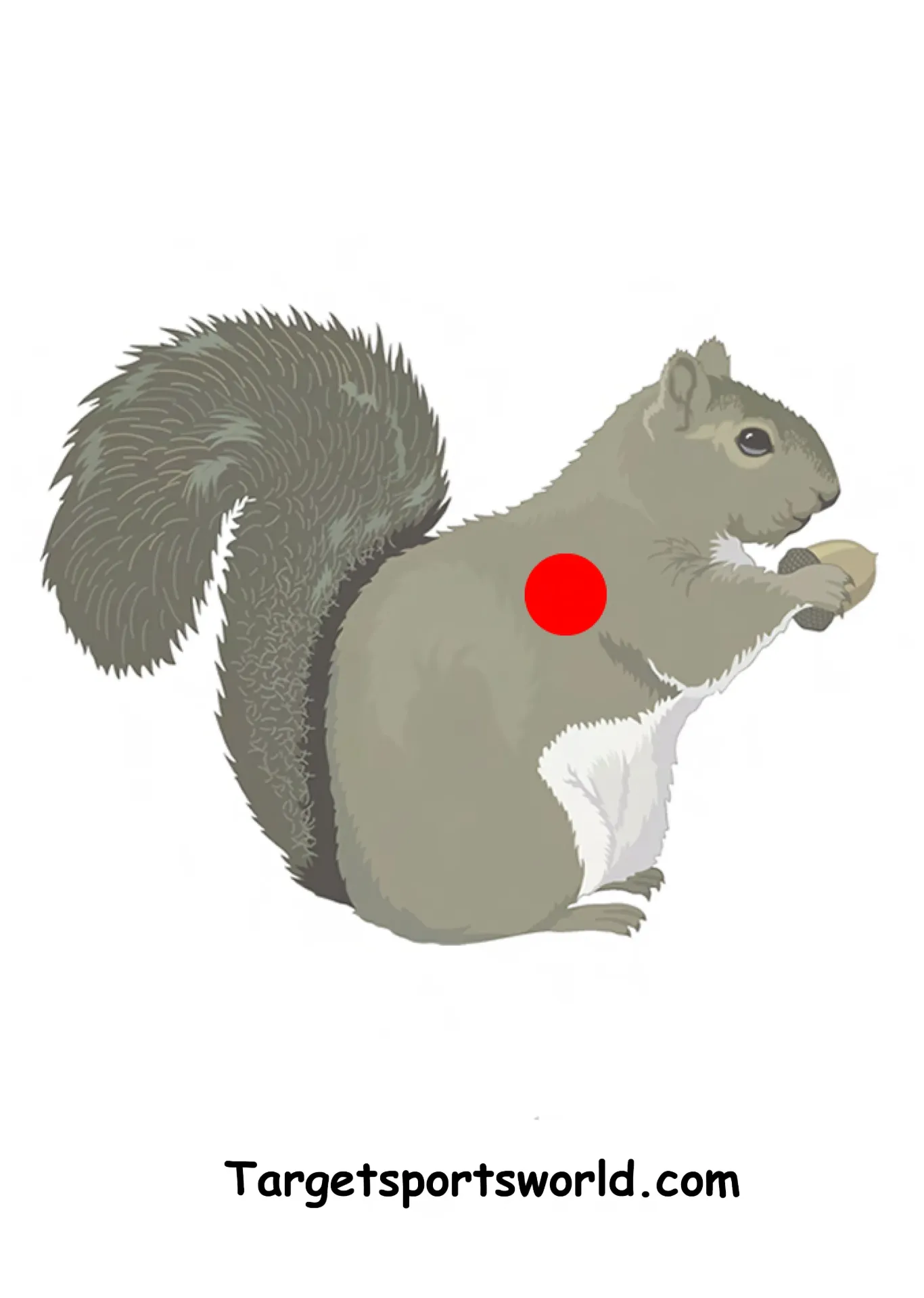 Squirrel Target - Paper A4